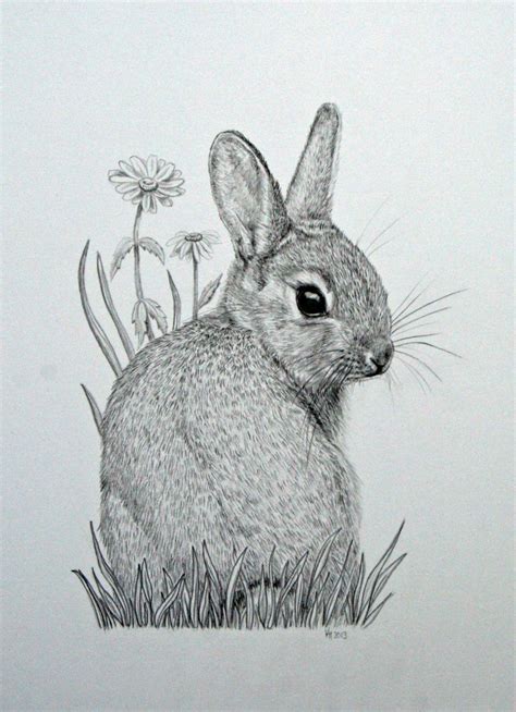 Original mounted pencil drawing of baby bunny by vicksanimalart