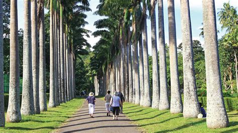 Peradeniya Royal Botanical Garden Map | Fasci Garden