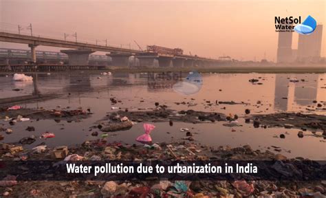 How Urbanisation Causes Pollution - Infoupdate.org