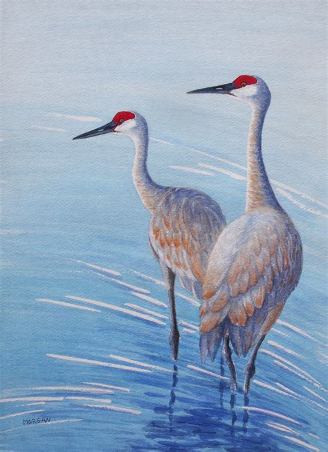 Sandhill Crane, 'On Alert', nature, wildlife, Watercolor, art, water birds, cranes, painting ...