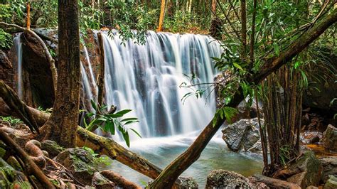 Discover Phu Quoc National Park and Cua Can River Full-Day