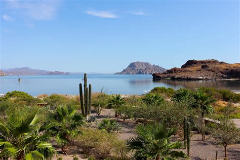 Dreaming of Loreto, Mexico – Vagabond3