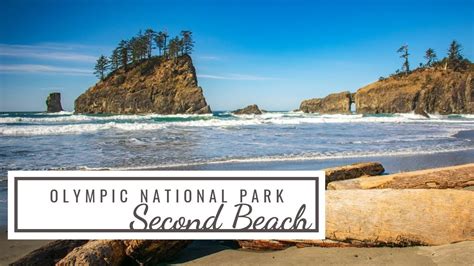 Second Beach Olympic National Park | Washington | Olympic national park ...