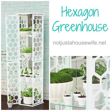 Hexagon Greenhouse | Indoor greenhouse, Greenhouse, Outdoor gardens