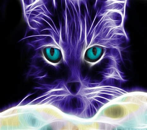 Cat fractal | Animal wallpaper, Animals, Cats and kittens