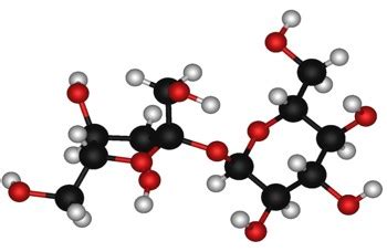 The Most Important Chemical Compounds