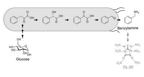 Benzylamine Structure Best Online | deborahsilvermusic.com