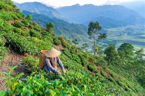 Vietnam: an entire world of landscapes in a single country