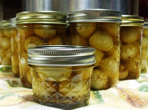 20 Best Pickled Quail Eggs Recipes - Best Recipes Ideas and Collections