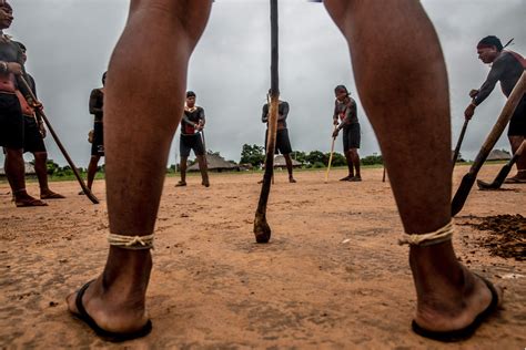 Indigenous village harvests seeds to slow deforestation in Brazil's Cerrado