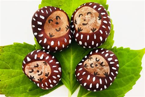 Cutest hedgehog conkers - Conker Craft