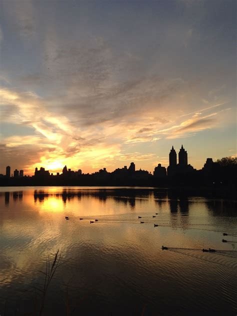 Central Park sunset | Sunset, Central park, Outdoor