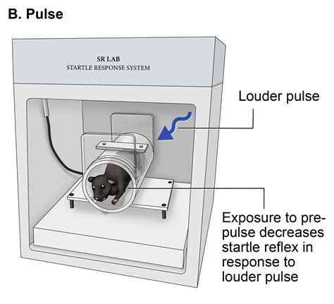 Pre-pulse Inhibition