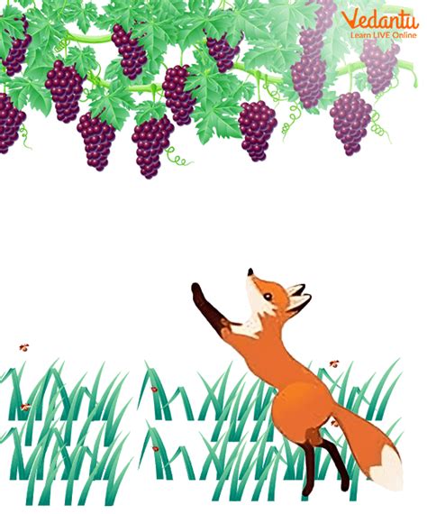 ⛔ The fox and the grapes summary. The Fox and the Grapes (1953). 2022-10-09