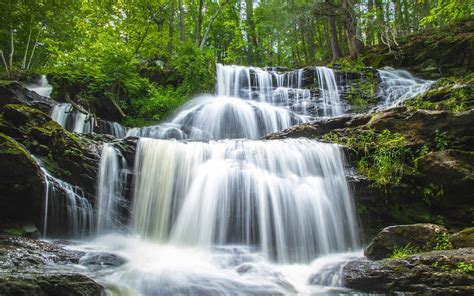 Download Green Forest Nature Waterfall HD Wallpaper