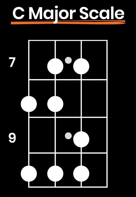 How to Learn Bass Scales (Become a Better Bassist, Not a Robot ...