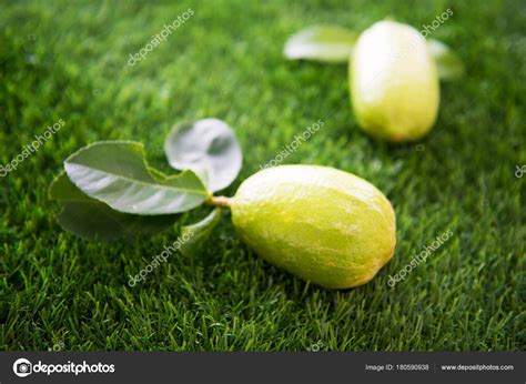 Download - Organic lemons on lawn — Stock Image