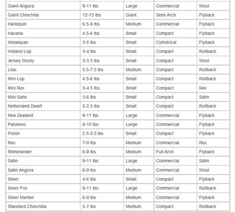 Rabbit Breeds Chart