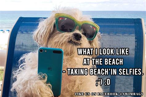 Funny Beach Meme: Me Taking Beach'in Selfies | Swim Rags | Beach humor ...