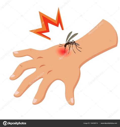 mosquito bite clipart 10 free Cliparts | Download images on Clipground 2024