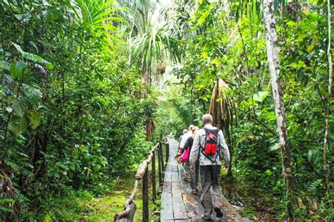 Jungle Adventures On An Ecuador Amazon Rainforest Trip - Two For The World