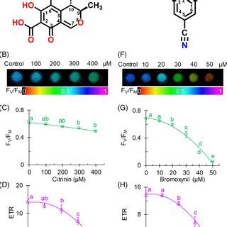 Chemical structures of citrinin (A) and bromoxynil (E) and their... | Download Scientific Diagram