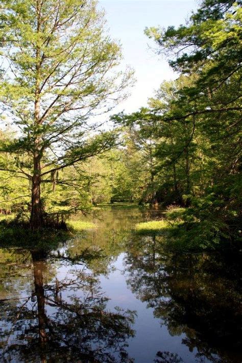 Northlake Nature Center Is The Best Outdoor Discovery Park In New Orleans