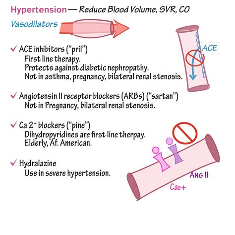 Cardiovascular System Glossary: Cardiovascular Pharmacology - Drug Summary | Draw It to Know It