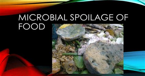 What is Microbial Spoilage of Food? Causes & Effect on Food Quality