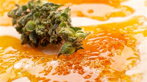 Live Resin vs Live Rosin vs Distillate: Differences Explained