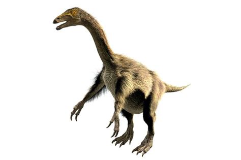 The Dinosaurs and Prehistoric Animals of New Mexico