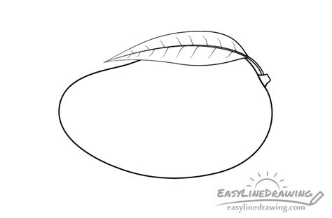 How to Draw a Mango Step by Step - EasyLineDrawing