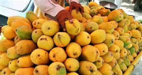 Good news for the Pakistani Mangoes exporters