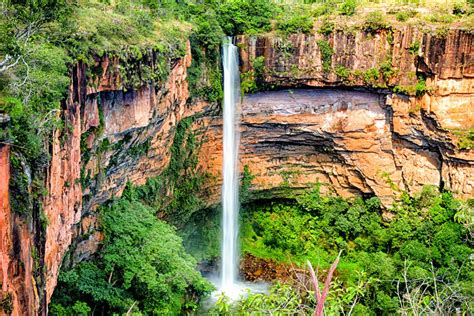 Il Parco Nazionale della Chapada Dos Guimarães dove l'Amazzonia ...