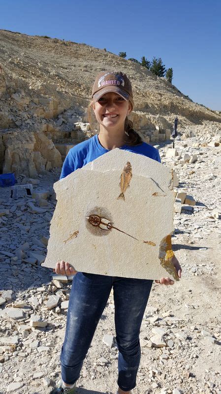 Dig and keep real fossils at our quarry. fossil digging in Kemmerer Wyoming near Bear Lake and ...