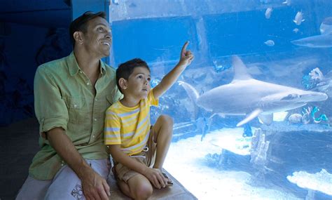 Marine Park Admission - Sea Life Park | Groupon