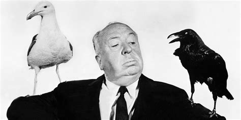 BBC Adapting Hitchcock's The Birds | Screen Rant