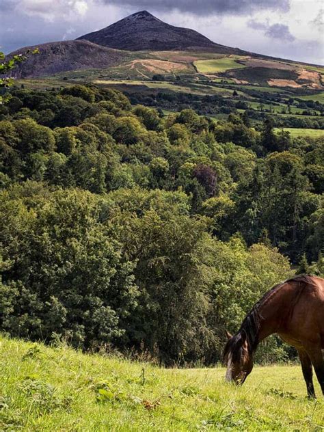 Wicklow Mountains National Park | Glenview Hotel Wicklow