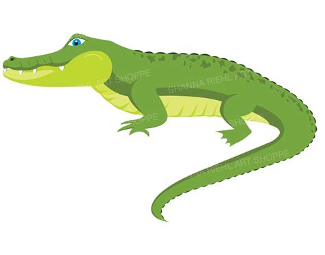 Alligator Clipart Crocodile Digital Download Art - Etsy