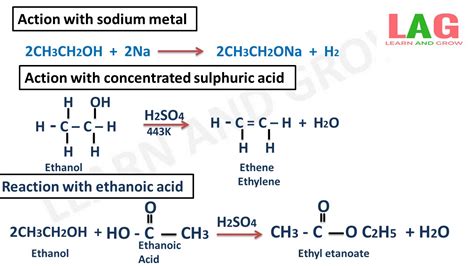 What is Ethanol - Physical And Chemical Properties [Hindi] - YouTube