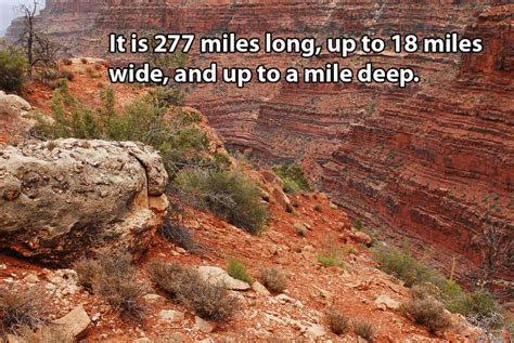 25 Grand Canyon Facts To Inspire A Road Trip To The Natural Wonder