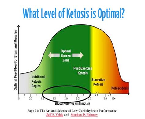 Ketosis & Measuring Ketones | The KetoDiet Blog