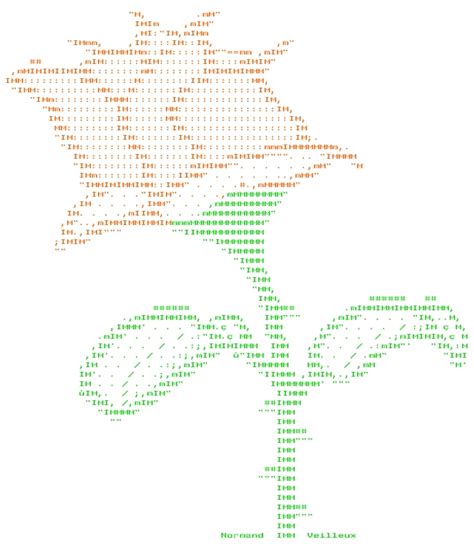 ASCII ART FLOWER SMALL - Wroc?awski Informator Internetowy - Wroc?aw, Wroclaw, hotele Wroc?aw ...