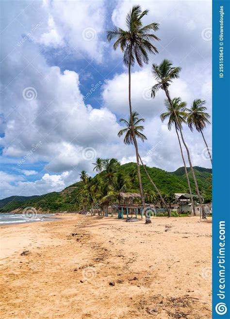 Landscape of Playa Medina Located in Sucre State. Editorial Stock Photo ...