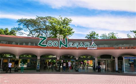 Zoo Negara + Panda Conservation Centre Tickets [Updated 2021] | Headout