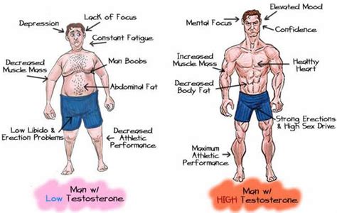 Best Benefits of Testosterone injections | TechPlanet