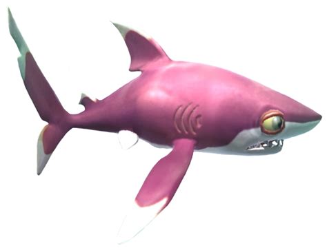Whitetip Reef Shark (HSH) | Hungry Shark Wiki | Fandom