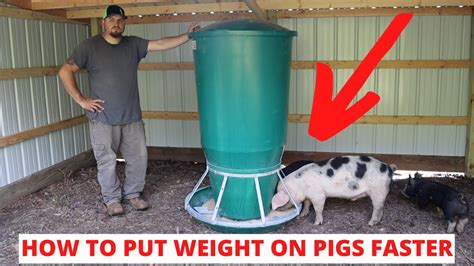 Pig Feed Trough Pig Feeder Mountable Heavy Duty Equipment, 43% OFF