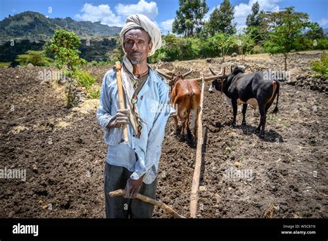 Portrait of an Ethiopian farmer, Debre Berhan, Ethiopia Stock Photo - Alamy