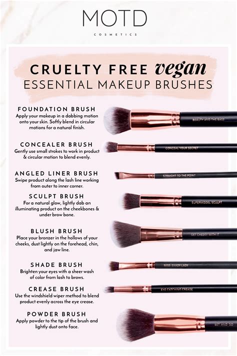 Makeup Brush Guide for Beginners: Essential Tools You Need - MOTD ...